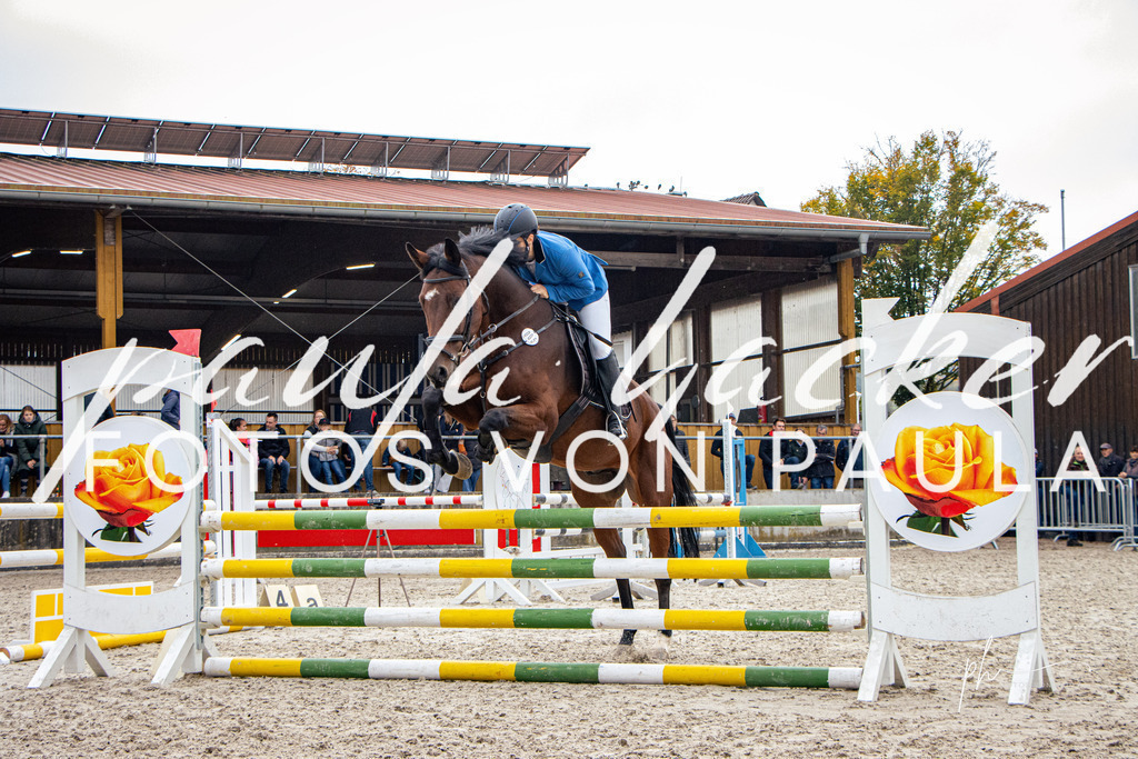 IMG_4268 | Erleben Sie dynamische Sport- und emotionale Tierfotografie in Süddeutschland mit Fotos von Paula. Spezialisiert auf Pferde- und Hundefotografie sowie Sportevents. Kontaktieren Sie mich für einzigartige und ausdrucksstarke Bilder Ihrer besonderen Momente. - Realisiert mit Pictrs.com