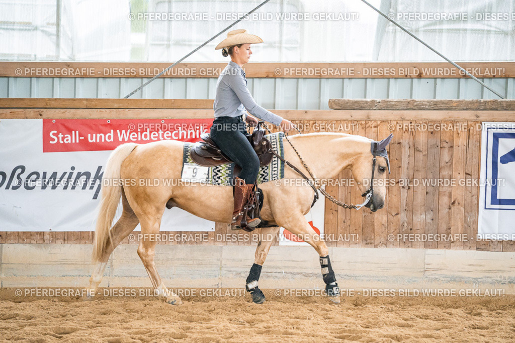 DSC00693 | Pferdegrafie