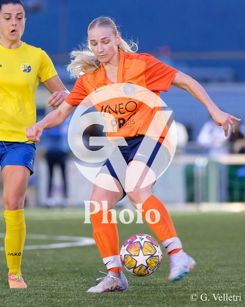 DSC_3341 | Velletri Photo