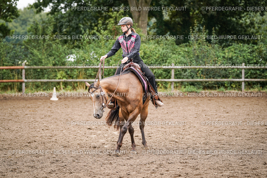 DSC02546 | Pferdegrafie