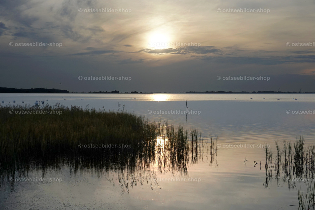 Fahles Abendlicht am Boddenufer | Eine aufziehende Regenfront schiebt sich langsam vor die Abendsonne über dem Breeger Bodden.