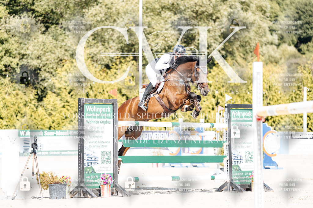 CK909081 | Turnierfotografie Pferdefotografie Trier Rheinland-Pfalz Pferdesport Reitsport Tierfotografie Sportfotografie Pferdevideo Pferdevideografie Equestrianvideography equestrianphotography  - Realisiert mit Pictrs.com