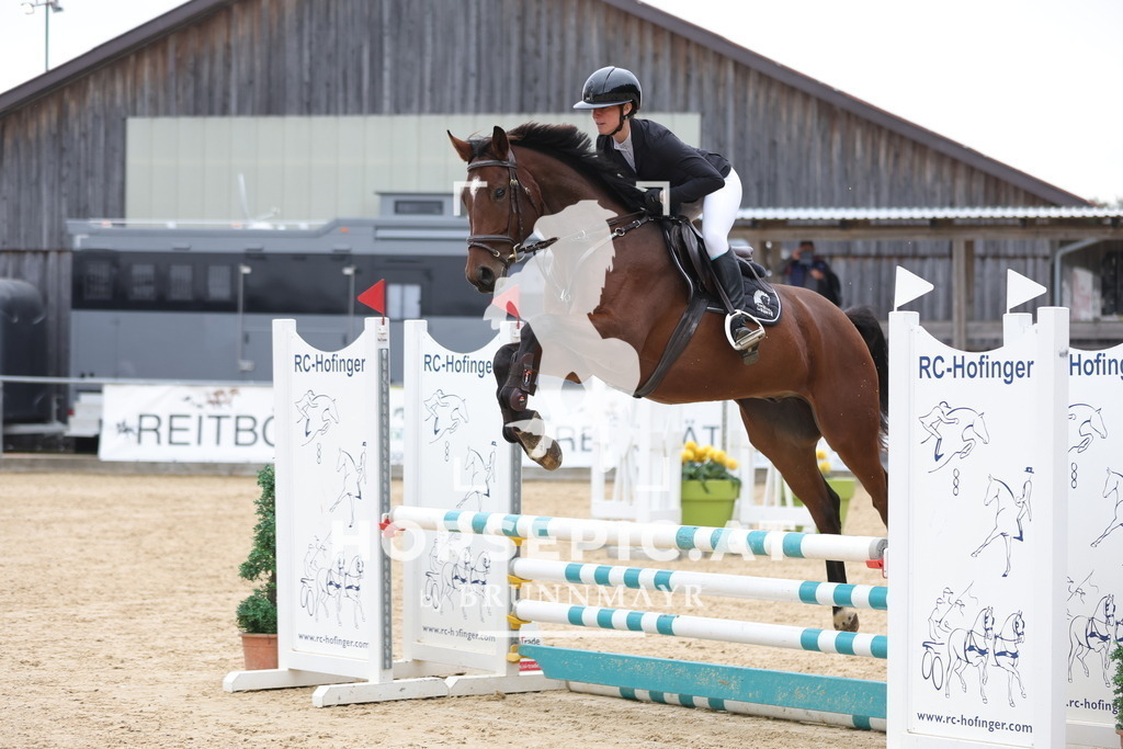 0P6A5538 | Willkommen bei Brunnmayr - Design & Fotografie – Ihrem Spezialisten für Reitturniere und Pferdeveranstaltungen in Oberösterreich, Salzburg und Bayern! Seit über 17 Jahren sind wir leidenschaftlich dabei.