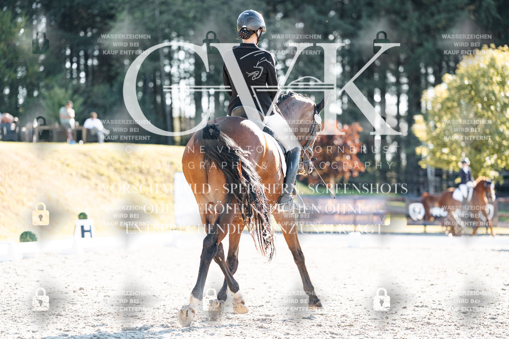 CK906737 | Turnierfotografie Pferdefotografie Trier Rheinland-Pfalz Pferdesport Reitsport Tierfotografie Sportfotografie Pferdevideo Pferdevideografie Equestrianvideography equestrianphotography  - Realisiert mit Pictrs.com