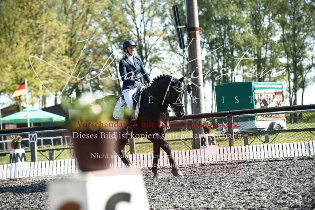 DSC_8471 | Pferde- und Turnierfotografie in Westsachsen. Pferdeportraits, Auftragszeichnungen und intuitive Kunst.