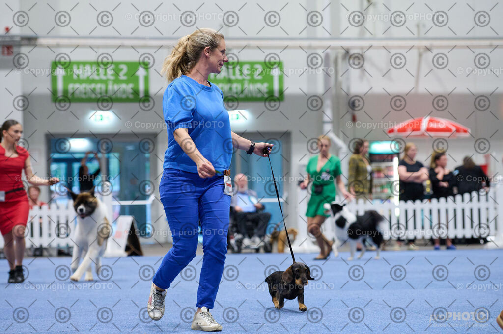 202406_ÖKV-IHA-Tulln24_DSC_3313 | proPHOTO - Realisiert mit Pictrs.com