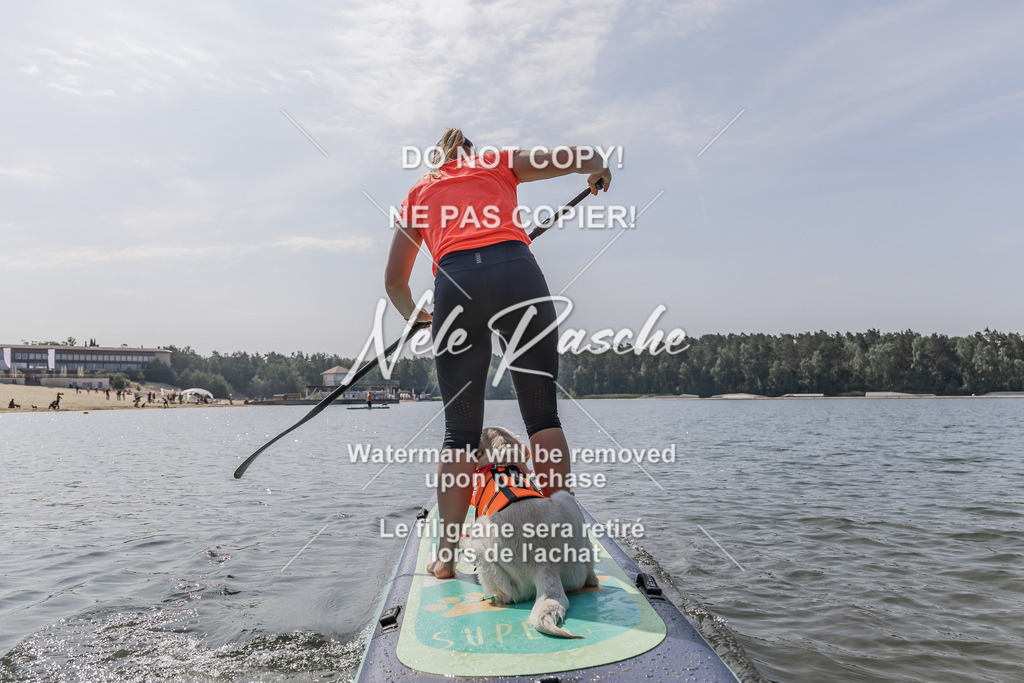 BUHU_SUP_404 | nelerasche
