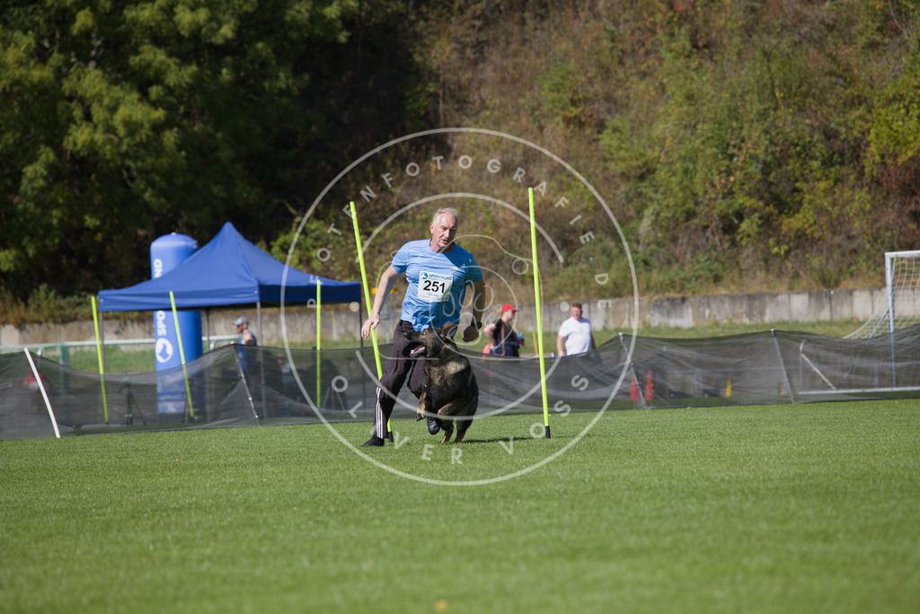 0L8A6310 | Hundefotografie, Tierfotograf, Pfotenfotografie, Fotoshooting Hund, Hunde Portrait, Hundesport, Hundeportraits, Heideshooting, Hunde, Sportfotograf, Hundefotograf, Turnierhundsport, THS,  - Realisiert mit Pictrs.com