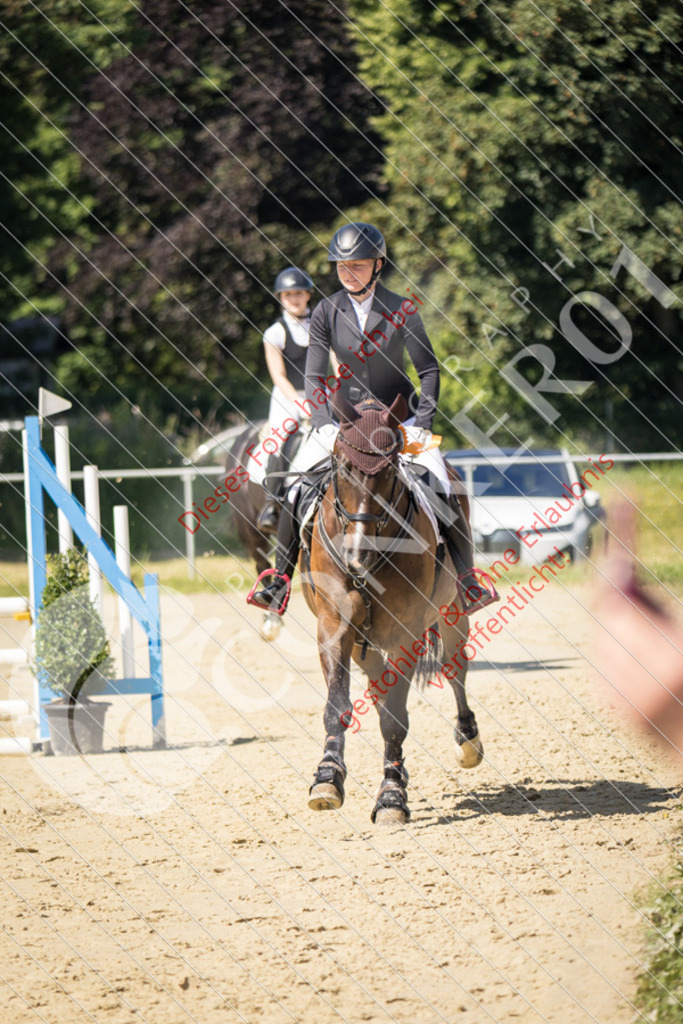 IMG_3573 | Sport-, Event- und Tierfotos in Profiqualität. Einfach auswählen, bestellen und herunterladen. Dein Moment – perfekt festgehalten.