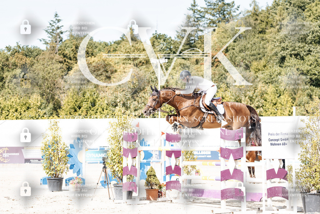 CK904974 | Turnierfotografie Pferdefotografie Trier Rheinland-Pfalz Pferdesport Reitsport Tierfotografie Sportfotografie Pferdevideo Pferdevideografie Equestrianvideography equestrianphotography  - Realisiert mit Pictrs.com