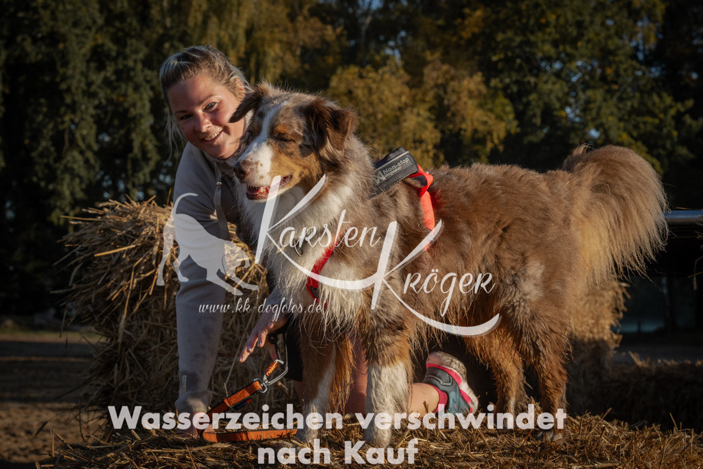 0926_ZZ93007 | kk-dogfotos