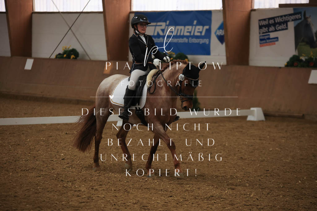 IMGT9332 | pl-fotografie