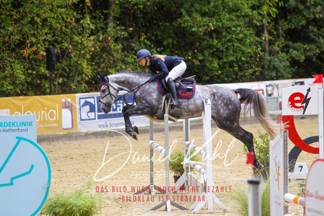 DKP40390 | Turniersportfotografie; Pferdefotografie; Dressurfotografie