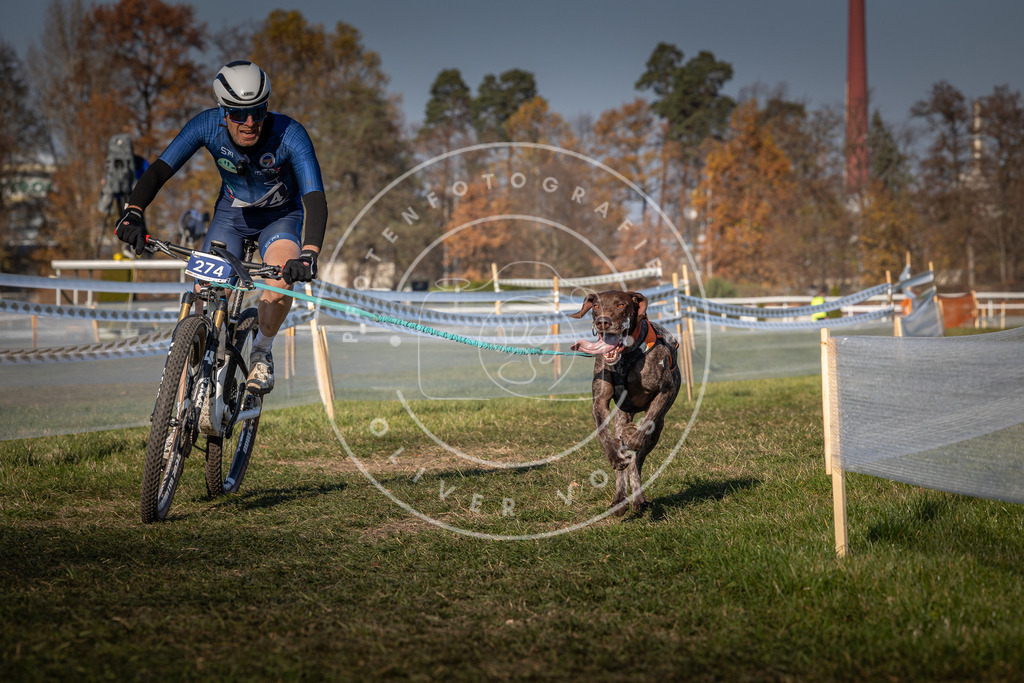 CaniXpix_0L8A6504 | Hundefotografie, Tierfotograf, Pfotenfotografie, Fotoshooting Hund, Hunde Portrait, Hundesport, Hundeportraits, Heideshooting, Hunde, Sportfotograf, Hundefotograf, Turnierhundsport, THS,  - Realisiert mit Pictrs.com