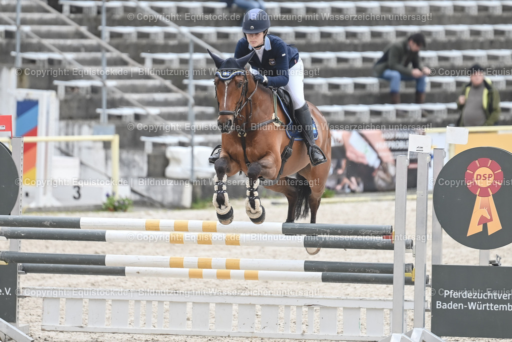 20230514_CCI2_Section1_Springen_0014 | equistock