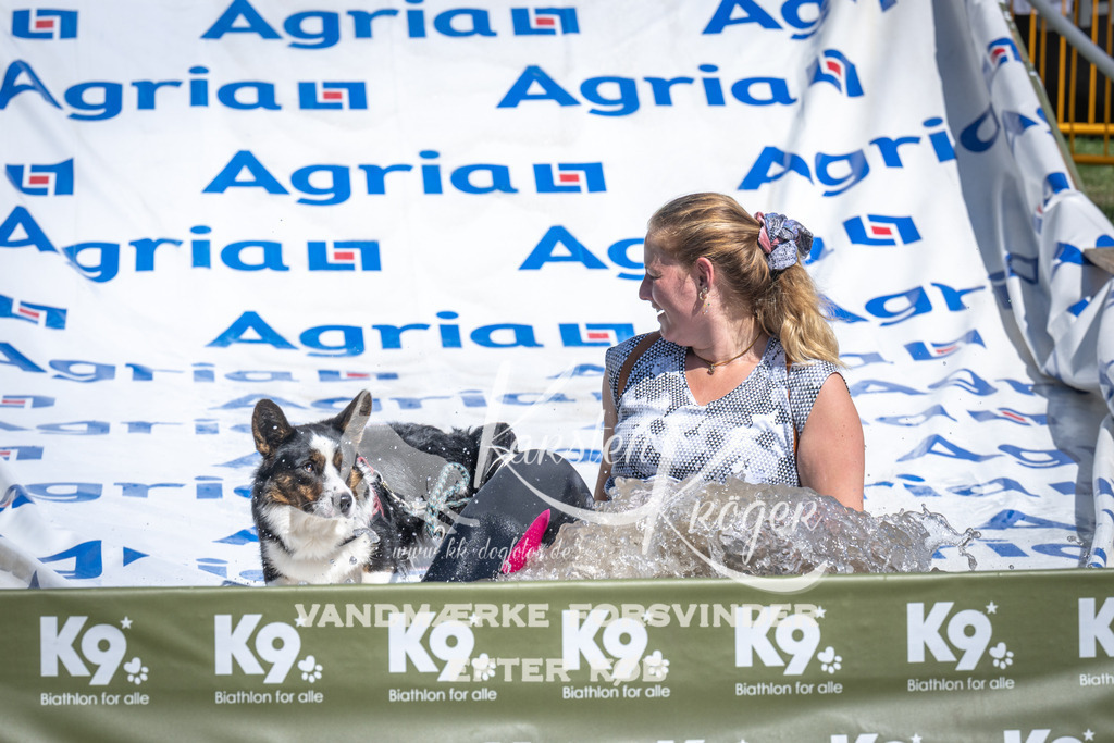 1331_ZZ90427 | kk-dogfotos