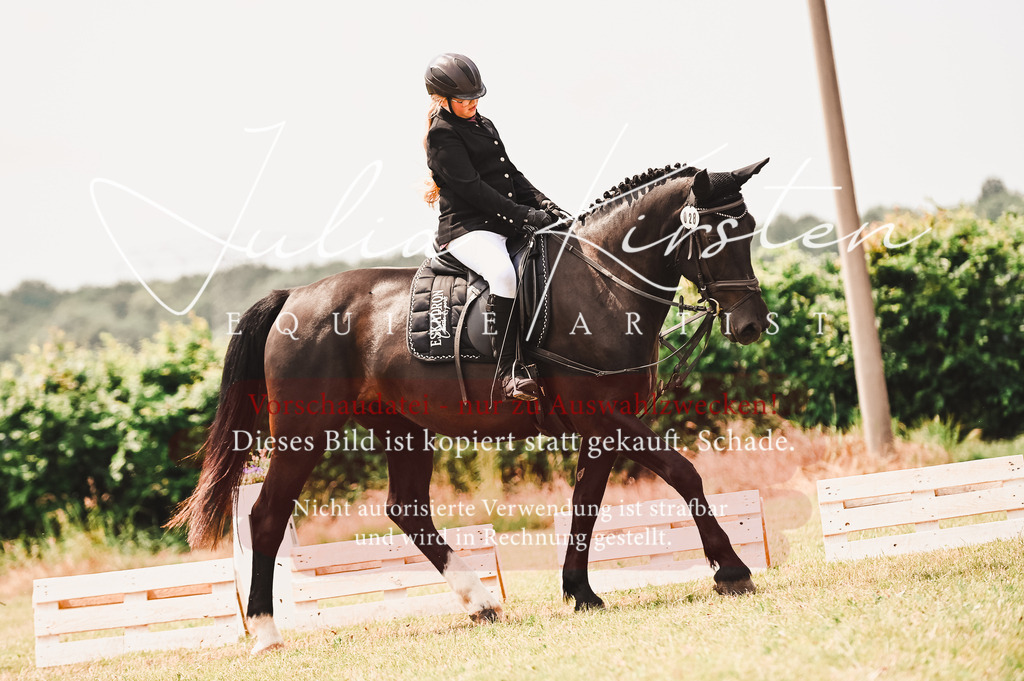 DSC_6243 | Pferde- und Turnierfotografie in Westsachsen. Pferdeportraits, Auftragszeichnungen und intuitive Kunst.