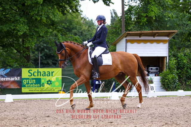 DKP41233 | Turnierfotos kaufen im Webshop von Daniel Kuhl Photography – entdecke professionelle Reitsportfotos aus Turnieren & Events. Hochwertige Turnierbilder online bestellen & sichern. Jetzt Fotos von Reitsportturnieren kaufen!