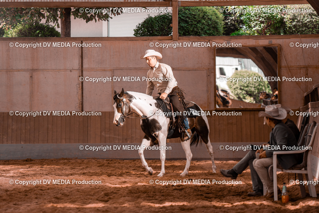 NE200524 | dv-media-shop - Realisiert mit Pictrs.com