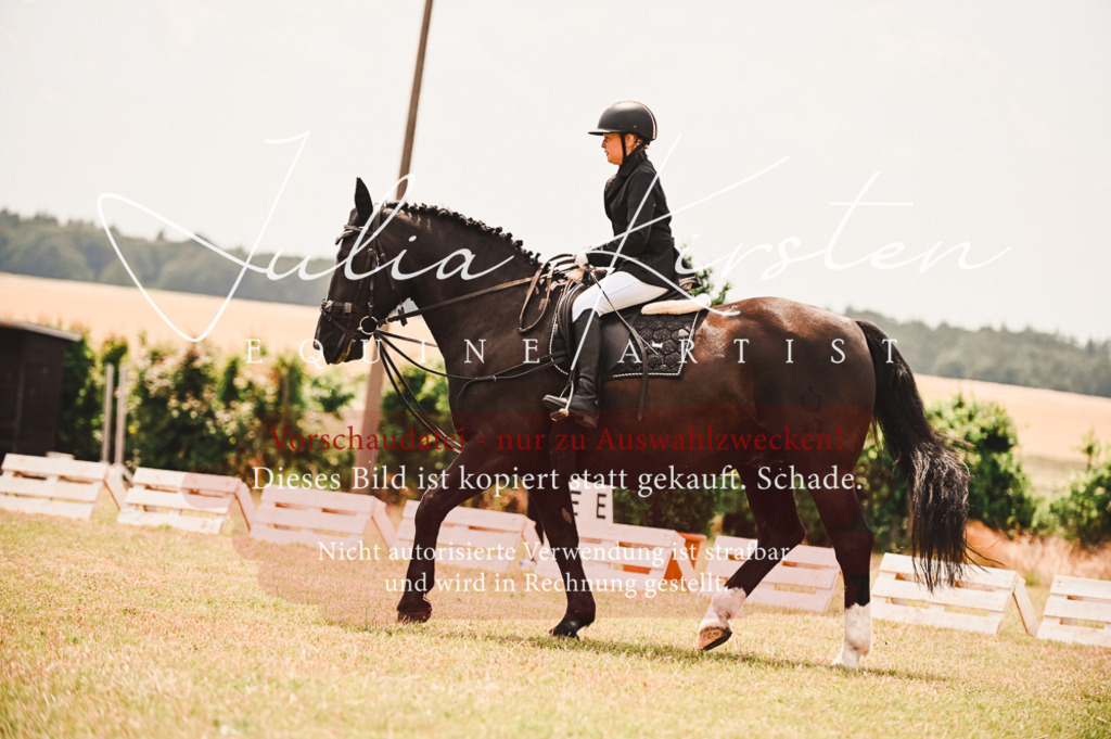 DSC_6306 | Pferde- und Turnierfotografie in Westsachsen. Pferdeportraits, Auftragszeichnungen und intuitive Kunst.