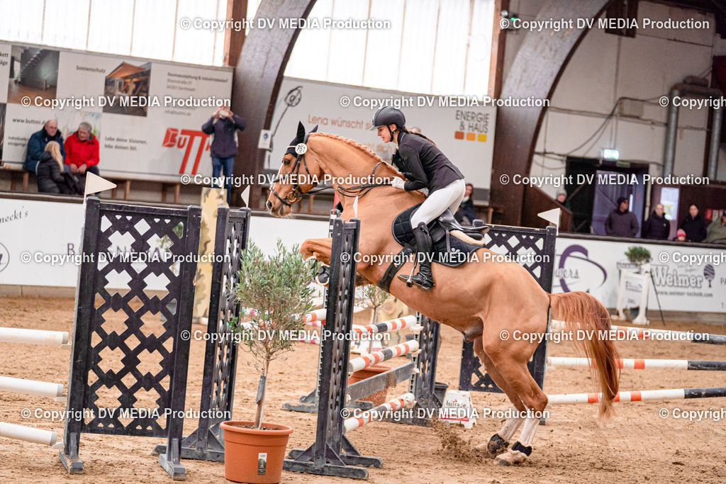 Kranichstein Tag 3-427 | dv-media-shop - Realisiert mit Pictrs.com