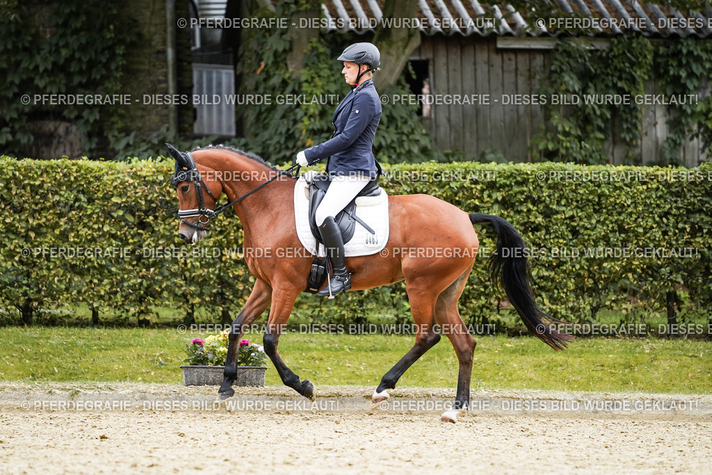 DSC01417 | Pferdegrafie