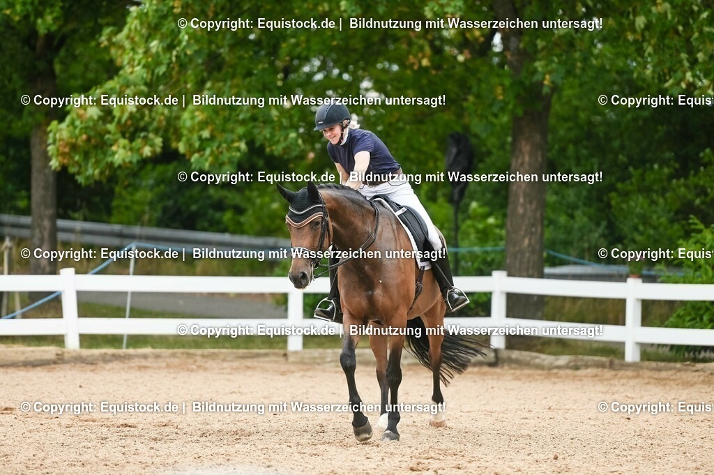 20230716_01_Dressurprüfung Kl.M_0452 | equistock