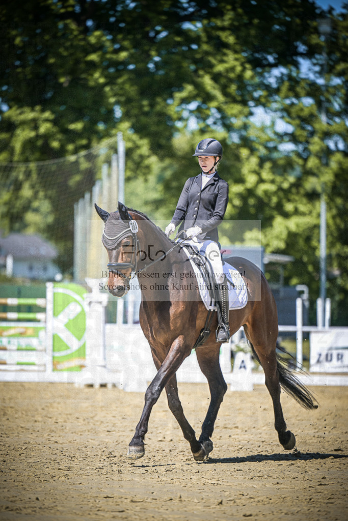 DOS_6221 | Entdecke hochwertige Reitturnierfotos von Foto Oger. Professionell, emotional und authentisch – jetzt Lieblingsmomente im Shop bestellen.Deutschlandweite Turnierfotografie. - Realisiert mit Pictrs.com