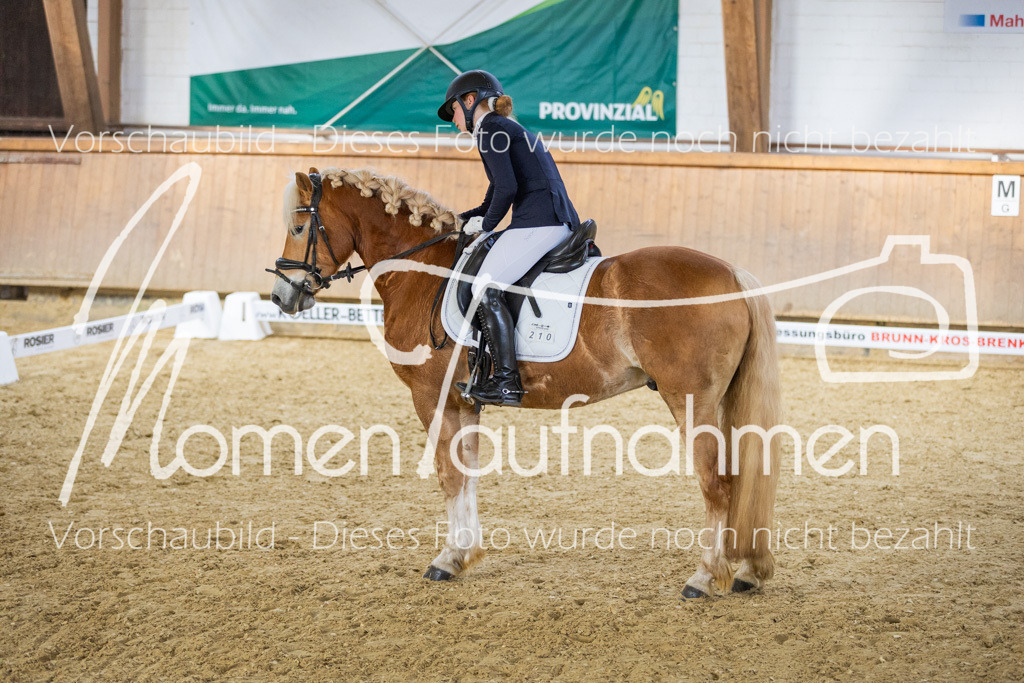 Sth-LPO25-L-Kür-072 | MomenTaufnahmen Pferdesportfotos