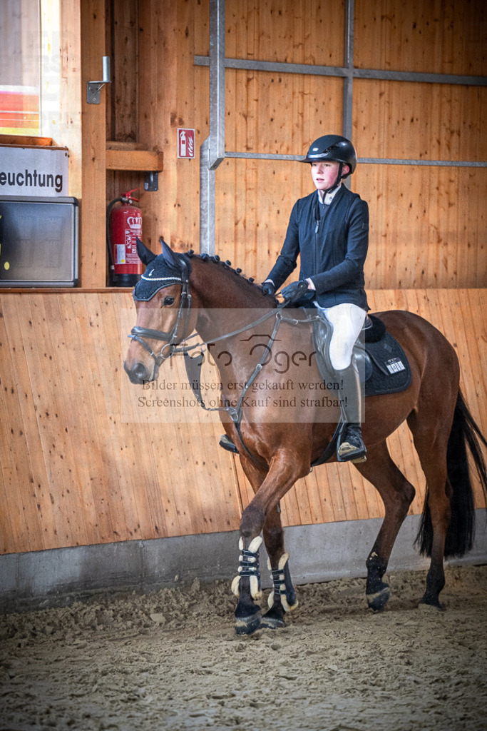 DOS_0740 | Entdecke hochwertige Reitturnierfotos von Foto Oger. Professionell, emotional und authentisch – jetzt Lieblingsmomente im Shop bestellen.Deutschlandweite Turnierfotografie. - Realisiert mit Pictrs.com