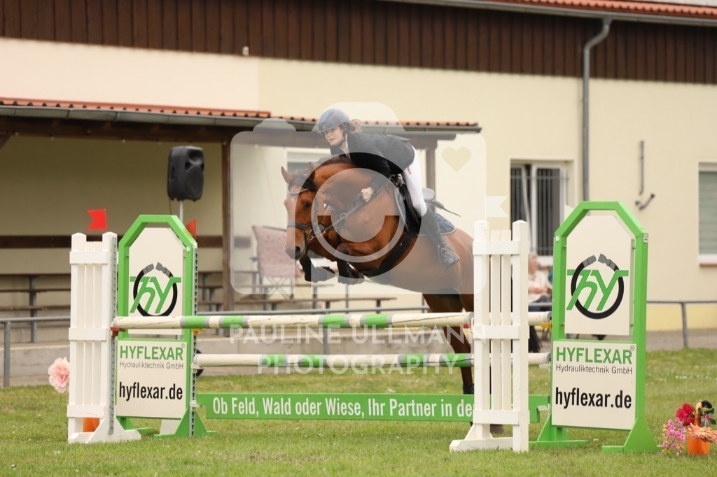 IMG_7366 | Pauline Ullmann Photography - Realisiert mit Pictrs.com