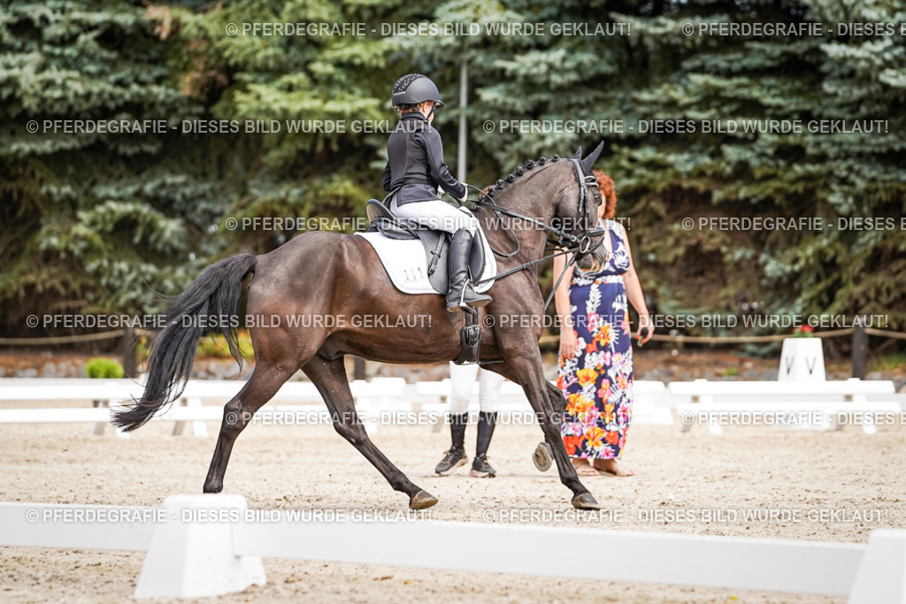 DSC02764 | Pferdegrafie