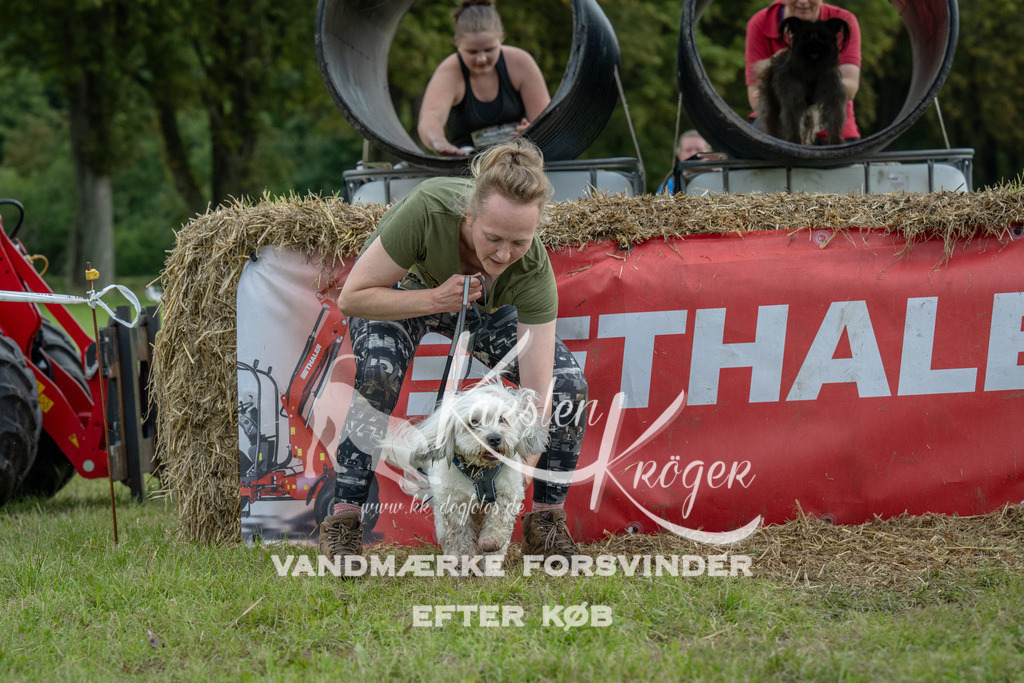 1030_ZZ92270 | kk-dogfotos