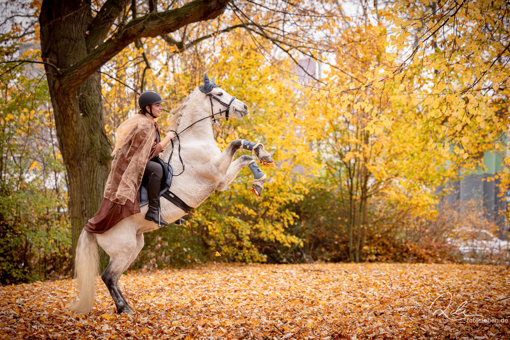 846A8832 | fotosleben - Realisiert mit Pictrs.com