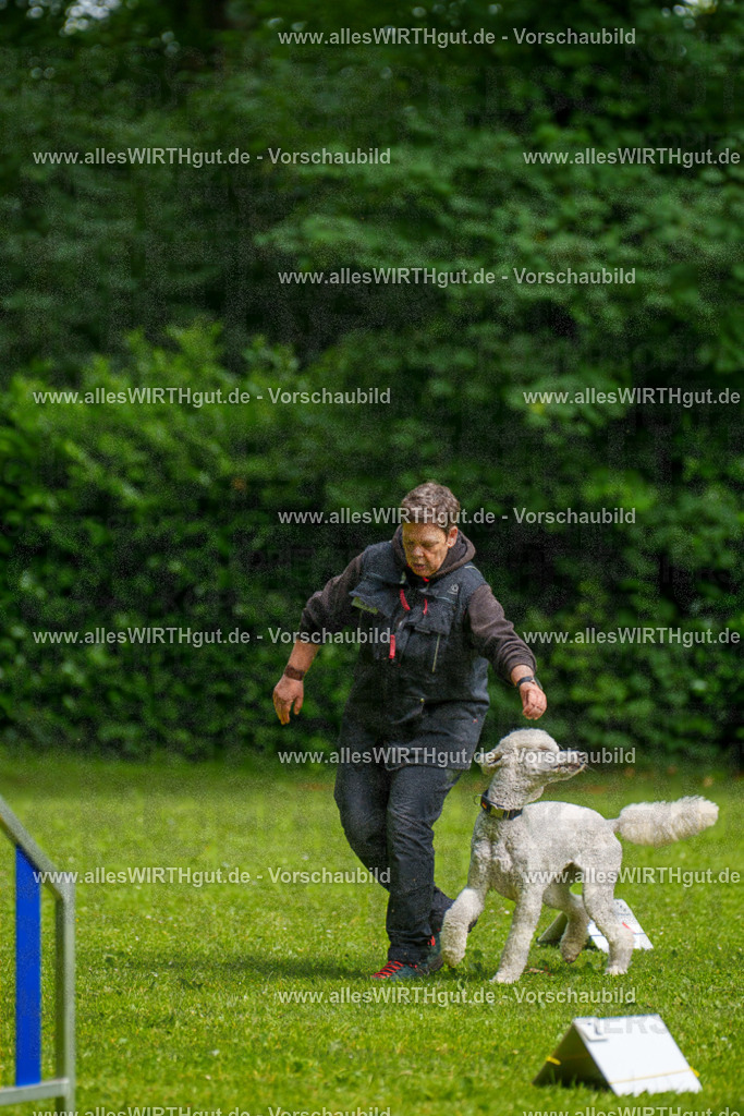 @allesWIRTHgut_Tierfotografie - www.allesWIRTHgut.de - 7R503580 | Professionelle Tierfotografie in Mönchengladbach von Daniel Wirth (allesWIRTHgut). Liebevolle & natürliche Bilder von Hunden & Katzen für unvergessliche Erinnerungen.