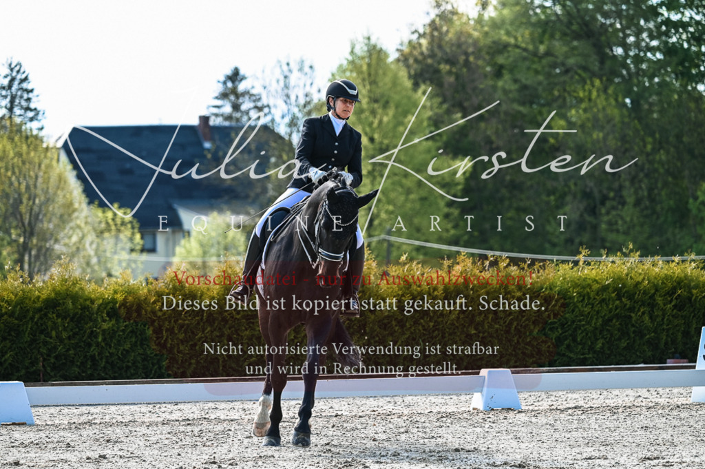 20230513_JK-Röhrsdorf-10-0177 | Pferde- und Turnierfotografie in Westsachsen. Pferdeportraits, Auftragszeichnungen und intuitive Kunst.