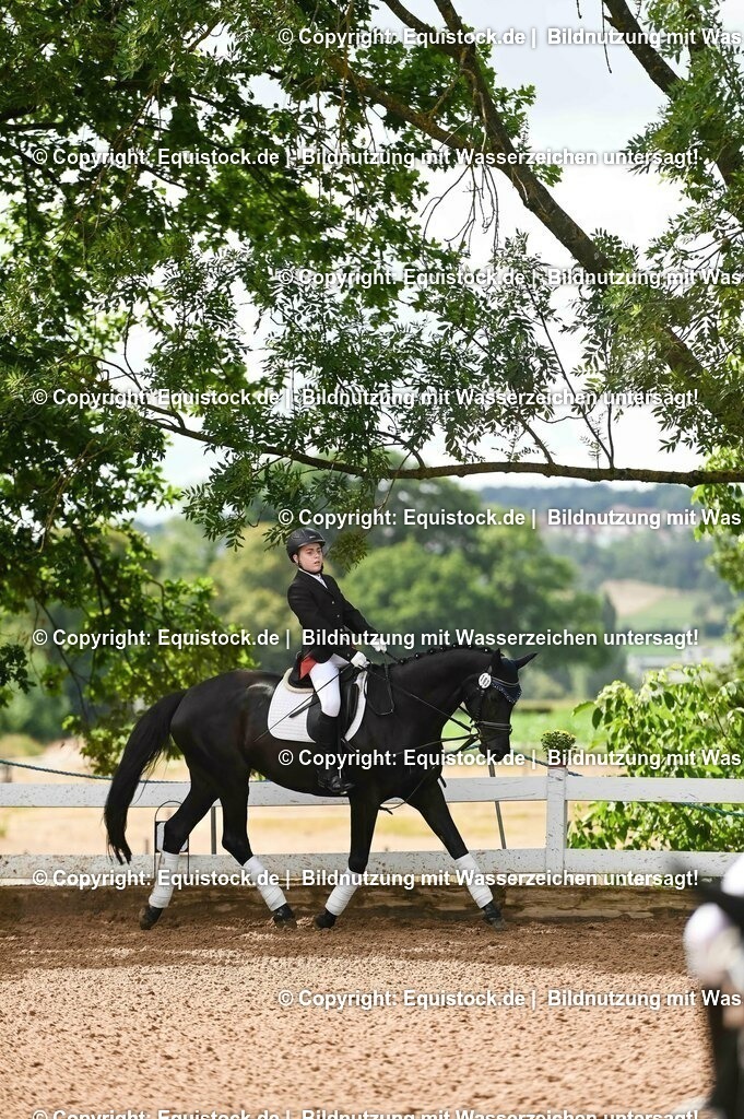 20230716_10-1_Reiter-WB Schritt - Trab - Galopp_0153 | equistock