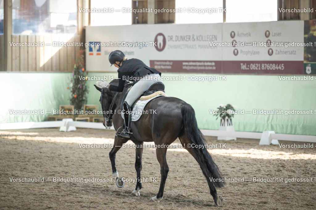 _D5A3004 | Emotionale Pferde- & People-Fotografie rund um Heidelberg, Leimen & Umgebung. Natürliche Fotos von Pferd, Mensch & Familie. Jetzt Termin sichern!