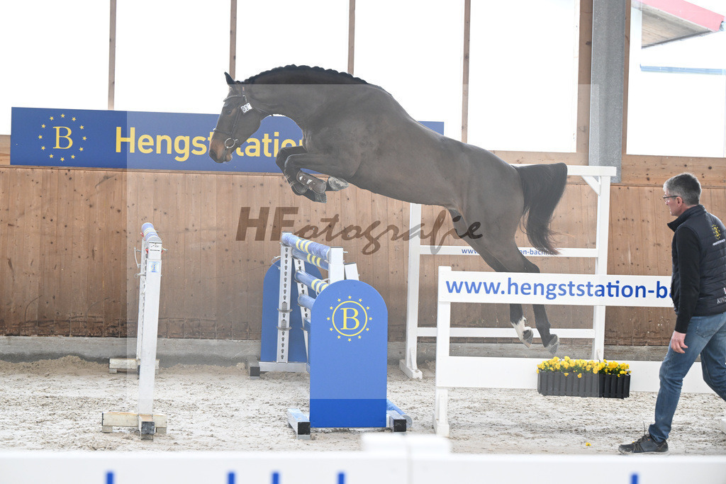 Kat-Nr. 21 Courchevel B v. Cizero Z_Bachl_14260455 | hf-fotografie - Realisiert mit Pictrs.com
