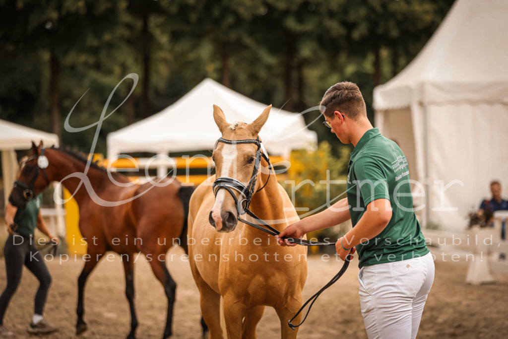 08.So00042 | Leoni Ertmer Photography - Realisiert mit Pictrs.com