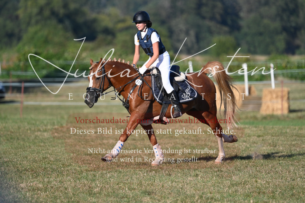 DSC_9086 | Pferde- und Turnierfotografie in Westsachsen. Pferdeportraits, Auftragszeichnungen und intuitive Kunst.