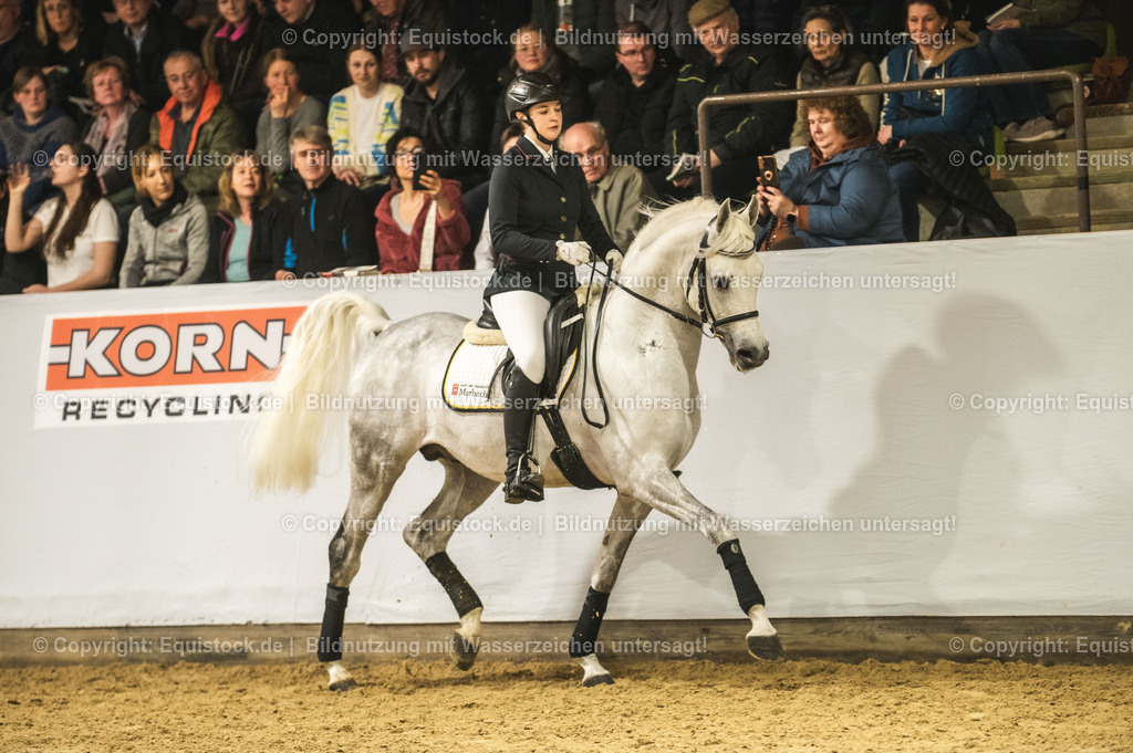 20240302_Hengstvorstellung_Marbach_TOMsPiC_0993-2 | equistock