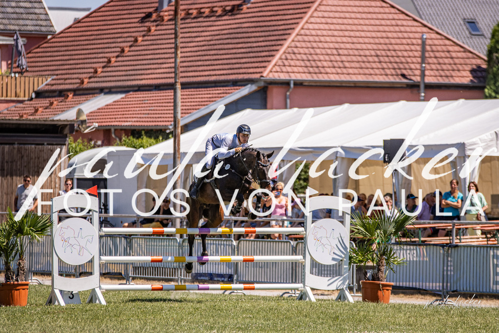 IMG_0562 | Erleben Sie dynamische Sport- und emotionale Tierfotografie in Süddeutschland mit Fotos von Paula. Spezialisiert auf Pferde- und Hundefotografie sowie Sportevents. Kontaktieren Sie mich für einzigartige und ausdrucksstarke Bilder Ihrer besonderen Momente.