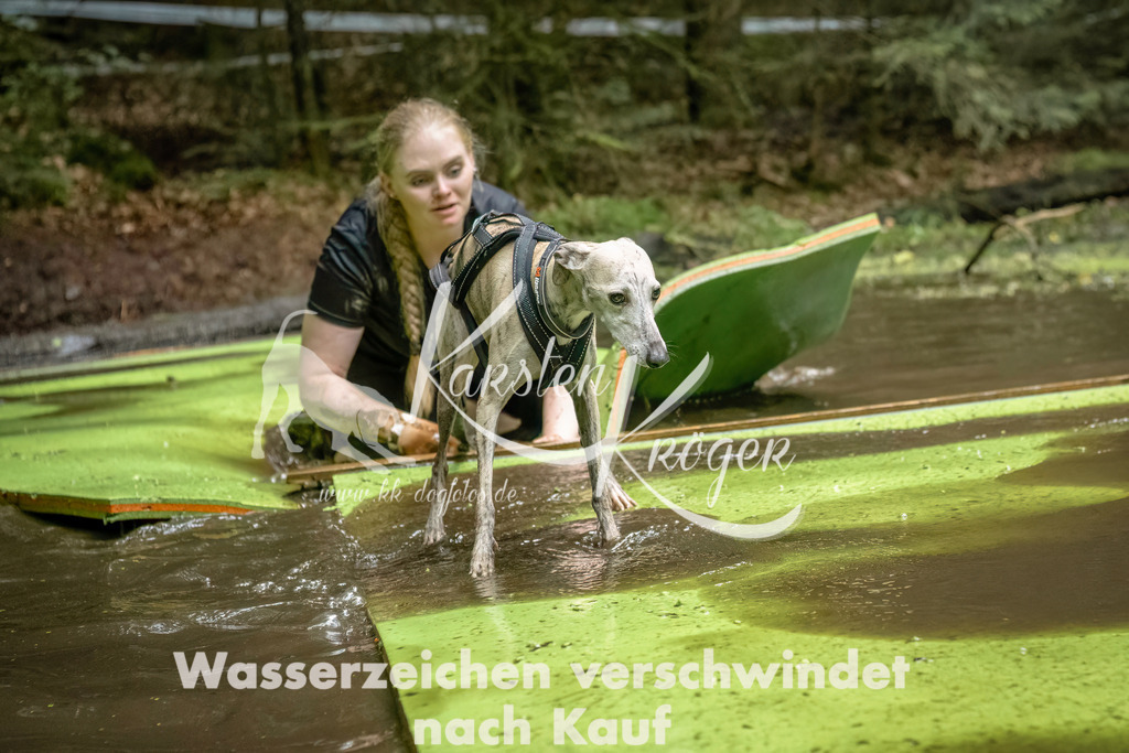 1444_ZZ93555-Bearbeitet | kk-dogfotos