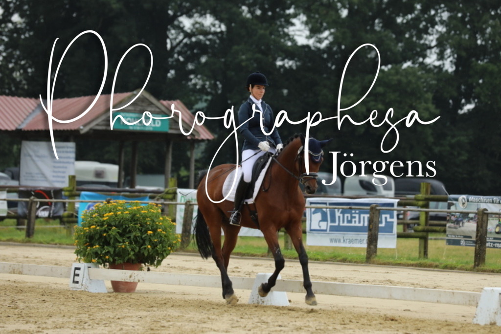 IMG_5553 | photographesa-joergens - Realisiert mit Pictrs.com