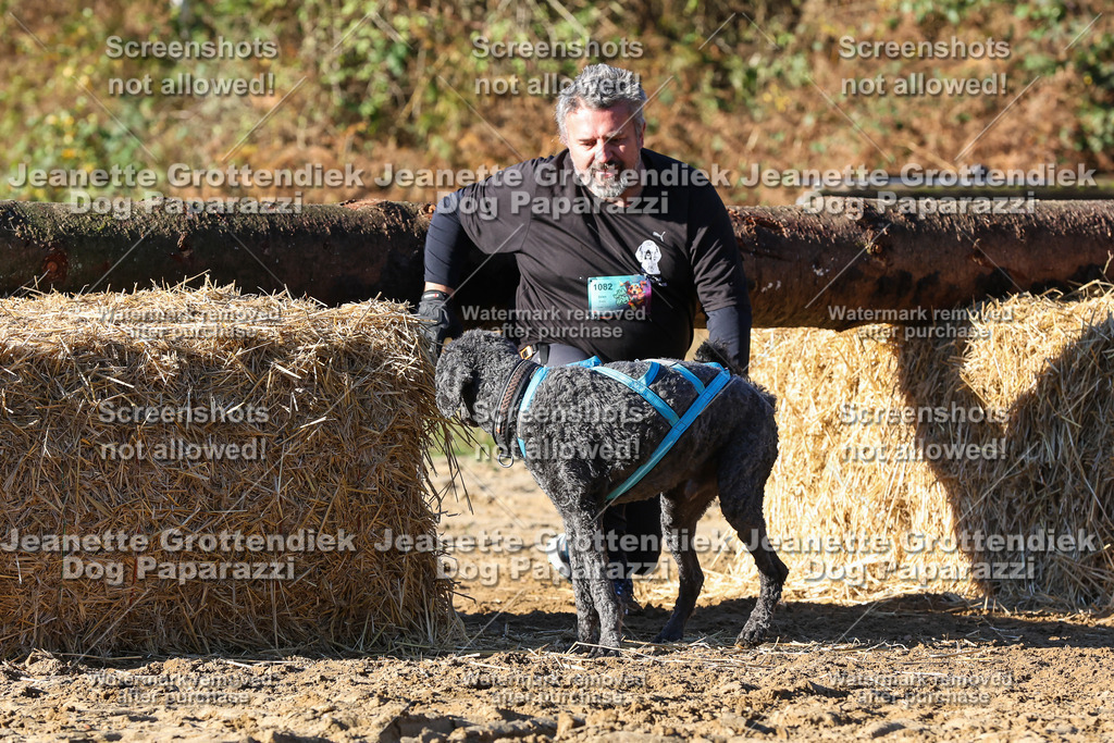 Dog Paparazzi - Strongdog 10-25-1711 | Dog Paparazzi Jeanette Grottendiek Fotografie & Videografie - Realisiert mit Pictrs.com