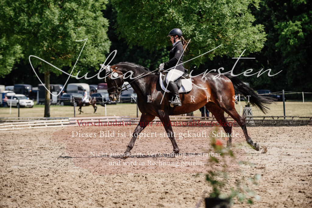 DSC_1086 | Pferde- und Turnierfotografie in Westsachsen. Pferdeportraits, Auftragszeichnungen und intuitive Kunst.