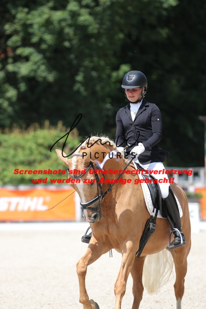 IMG_4669 | lmwpictures - Realisiert mit Pictrs.com