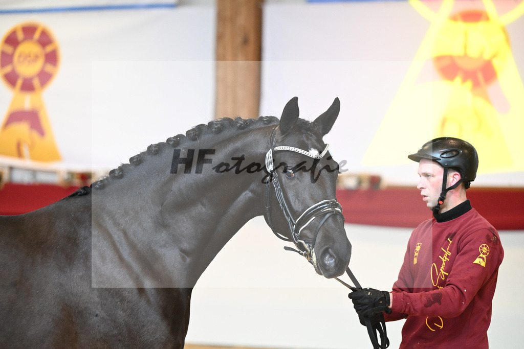 Kat-Nr. 15 Cornet de Semilly_Agrar Handelsgesellschaft Salzfurtkapelle_1231164 | hf-fotografie - Realizzato con Pictrs.com