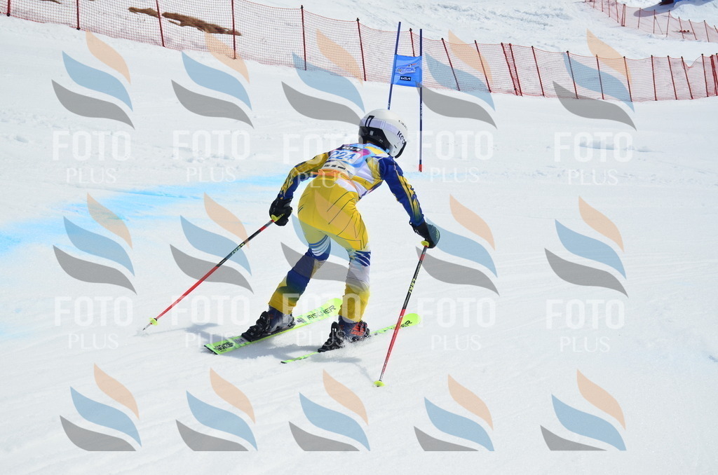 _ELE1590 | holidayphoto